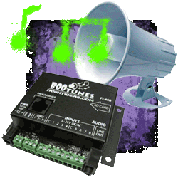 Digital Audio Players