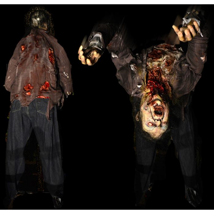 Contortionist - C804