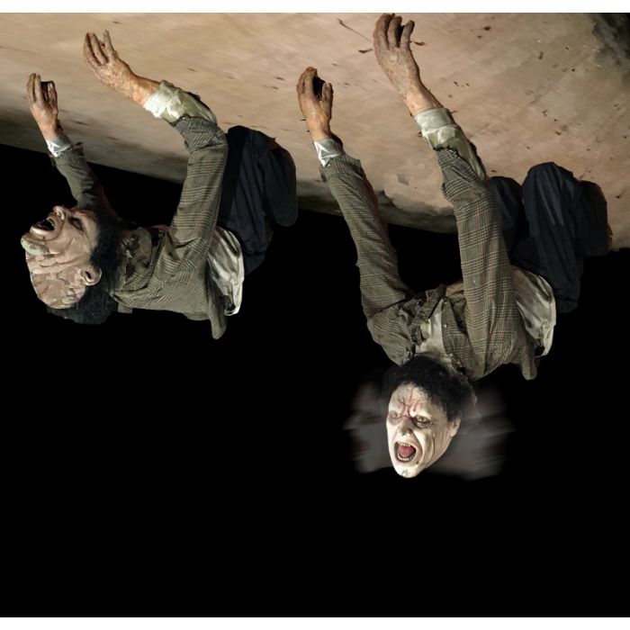 Ceiling Dweller Freak - CD935