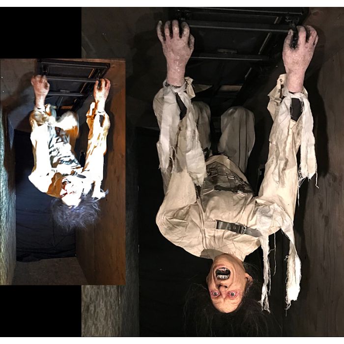 Ceiling Dweller Flyer - CDF1128