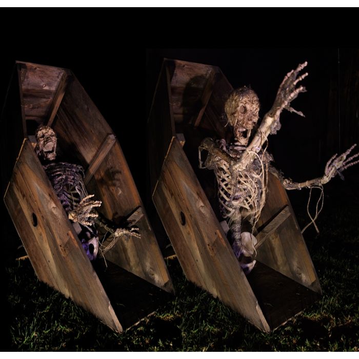 COFFIN DUG UP SKELLY - CDU402