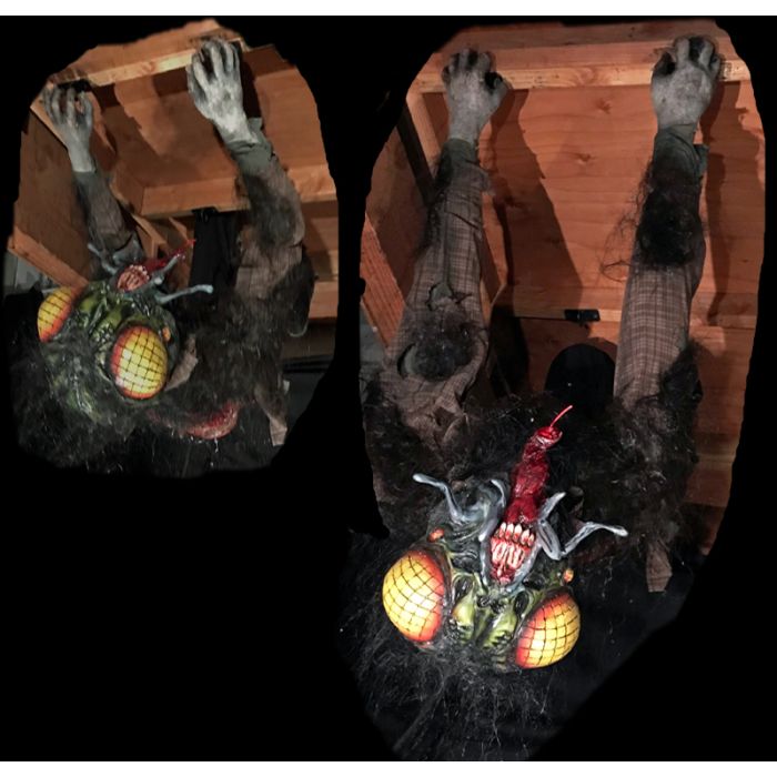 CEILING FLY - CF1125