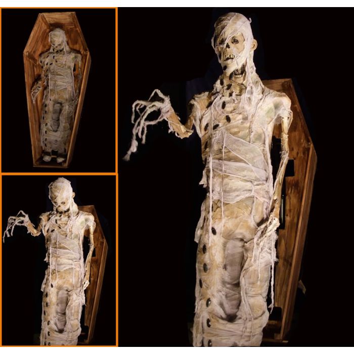 COFFIN LUNGER MUMMY - CL302