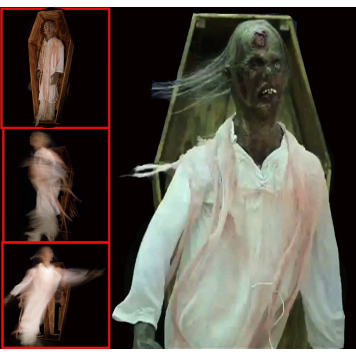 coffin lunger female - CL303