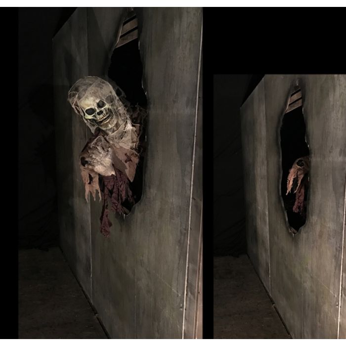 Corpse pop out -CPO1019