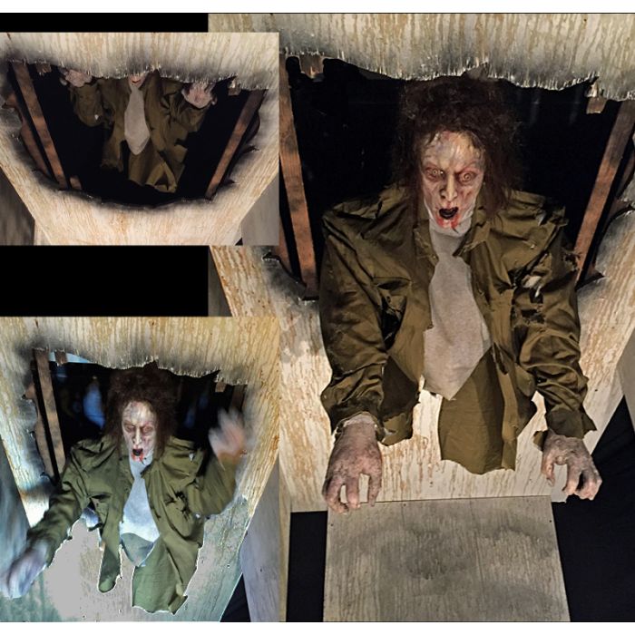 Drop Thru Ceiling - DTC942