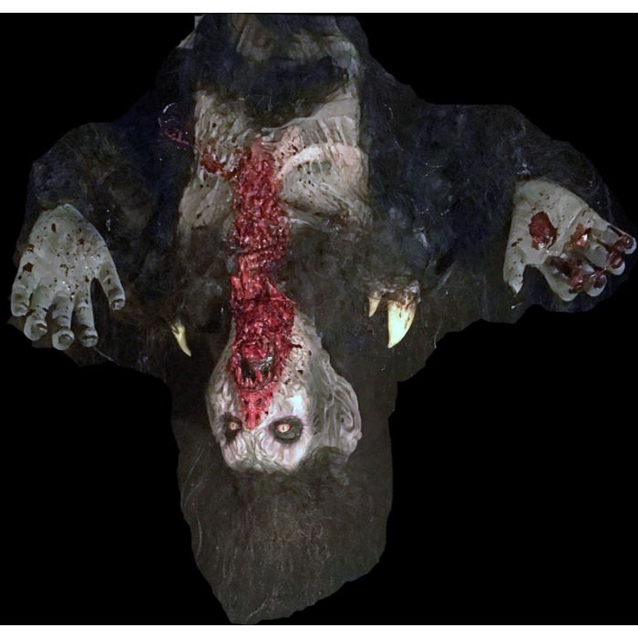 DROPPING VAMPIRE - DV1323