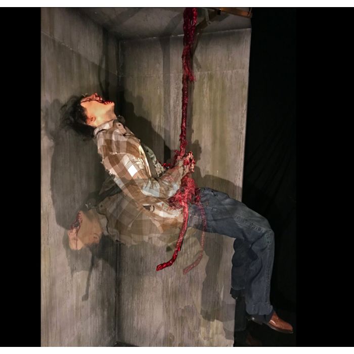 Hanging Intestines - HI1222