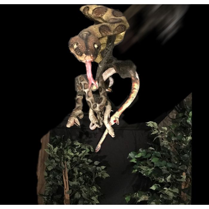 Snakes Drop - SD1129