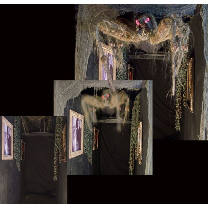 SPIDER DESCENDER - SD513