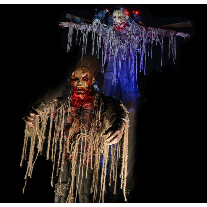 Scarecrow Descender - SD805