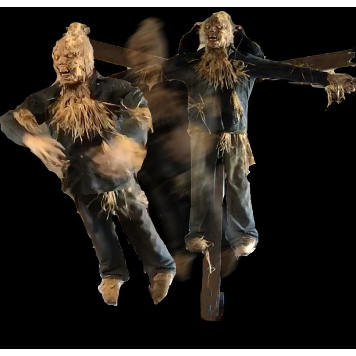 Scarecrow Flyer 2.0 - SF1329