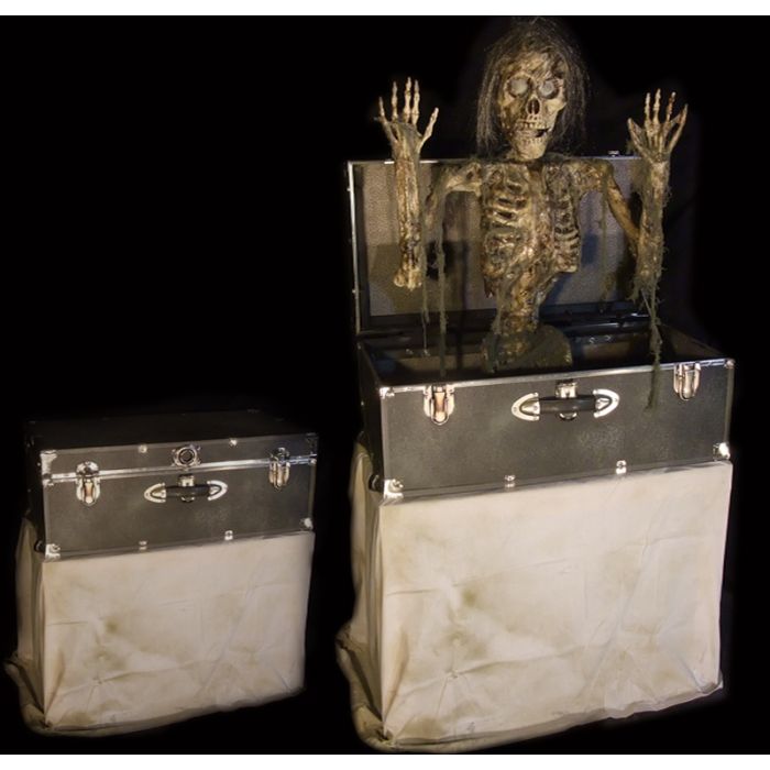 Skelly trunk - ST614