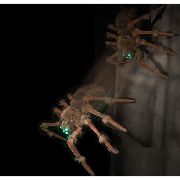 SPIDER WALL CRAWL - SWC1306