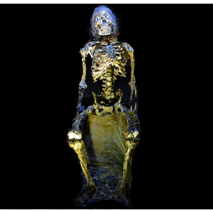 TALKING SKELETON - TS301