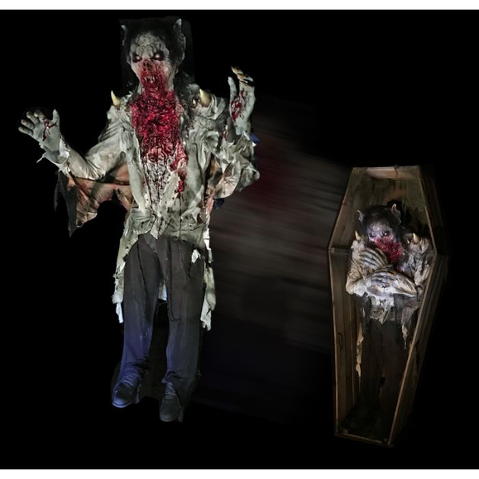 Vampire Coffin Jumper-VCJ1013