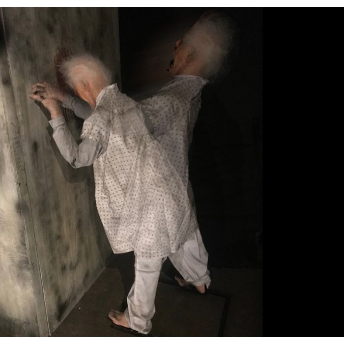 WALL HEAD BANGER - WHB1305