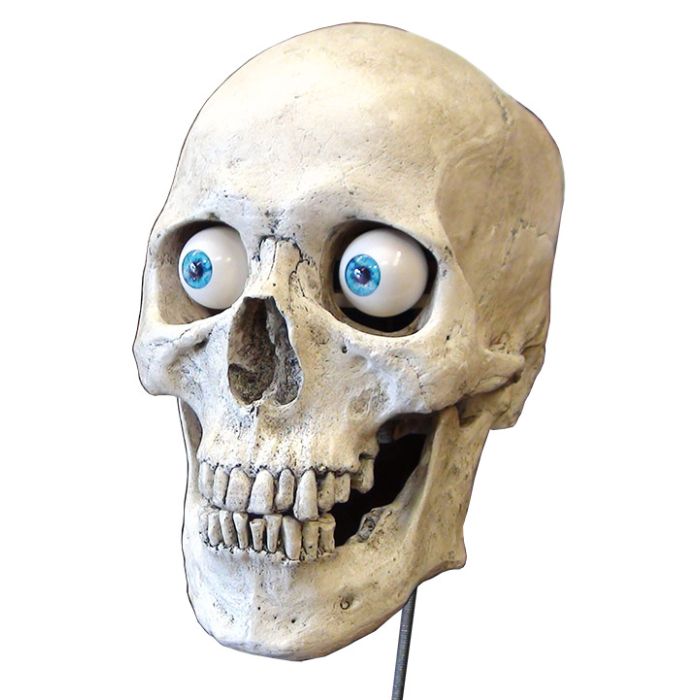 Talking Skull Mounting Rod Kit