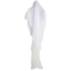 Ghost for Axworthy or Crank Ghost