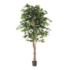 Artificial Ficus Silk Tree (6ft)