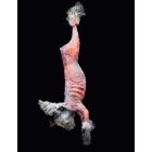 Skinned Rabbit with Fur - Frozen