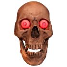 Optional Green LEDs for Talking Skull 