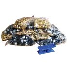 Solenoid / Cylinder Fitting Kit for 1/4 Airline