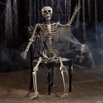 5 Ft. Life-size Posable Plastic Skeleton