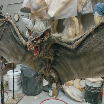 The Bat