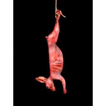 Animal Prop Rabbit Hanging Skinned