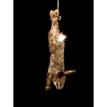 Animal Prop Rabbit Hanging