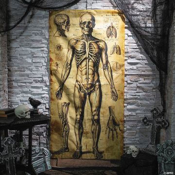 6 Ft. 6 3/4" Human Anatomy Drawings Door Curtain Halloween Decoration