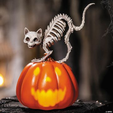 11 1/2" Animated Pumpkin With Skeleton Cat Tabletop Halloween Decoration