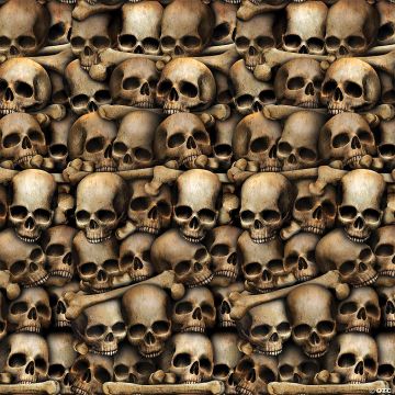 Catacombs Skull Plastic Backdrop