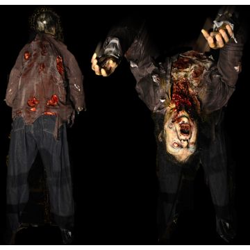 Contortionist - C804