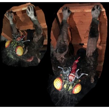 CEILING FLY - CF1125