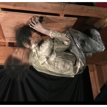 CEILING HEADBANGER - CHB1304