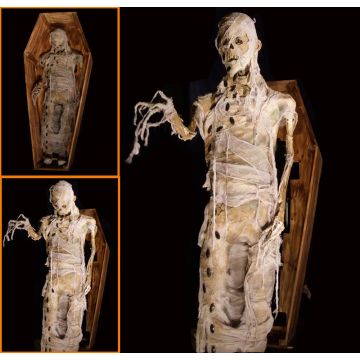 COFFIN LUNGER MUMMY - CL302