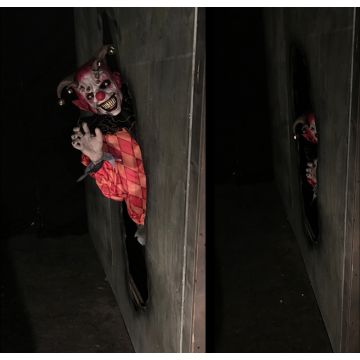 Clown Slider- CS1022