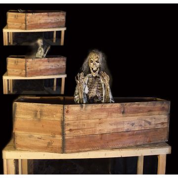 Coffin skelly pop up - CS628