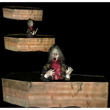 COFFIN SIT UP ATTACK - CSU902