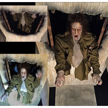 Drop Thru Ceiling - DTC942