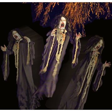 flying vampire - FV408