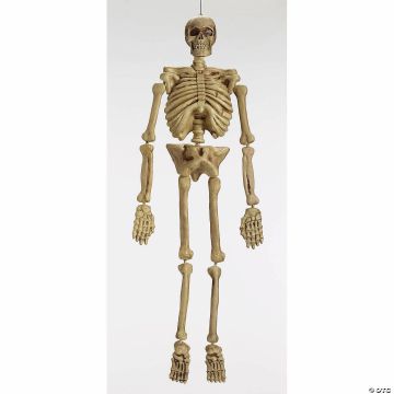 5 Ft. Realistic Skeleton Halloween Decoration