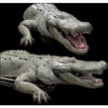 Gator Torso Lunger - GTL827