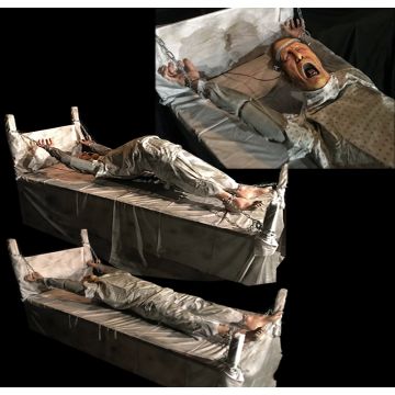 Shock Therapy - ST1326