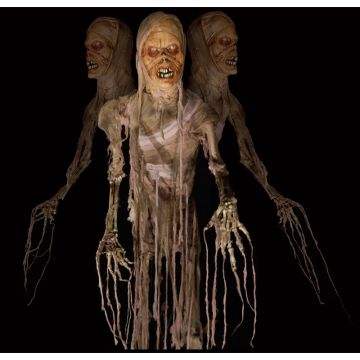 mummy twitcher - MT406