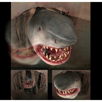 SHARK ATTACK - SA1316