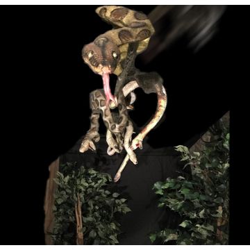 Snakes Drop - SD1129