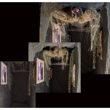 SPIDER DESCENDER - SD513